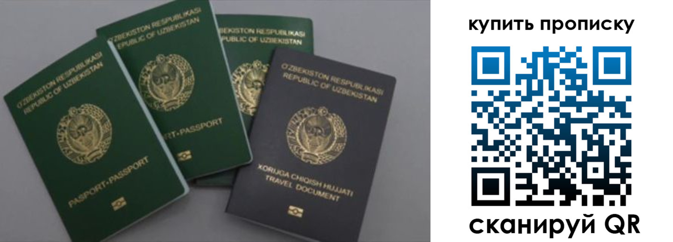 прописка законно в Выборге